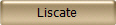 Liscate 