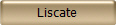 Liscate 