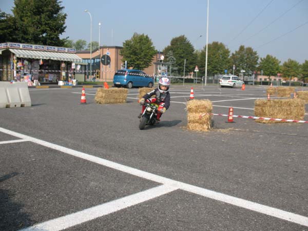 IMG_0817