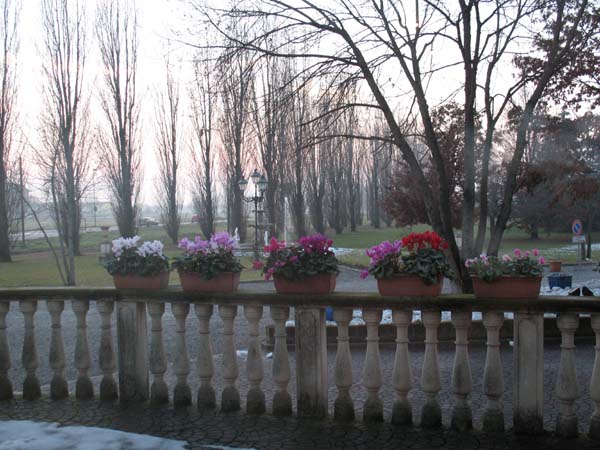 IMG_1437