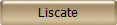 Liscate 