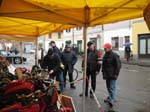 IMG_6524