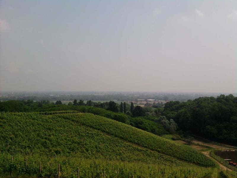 Foto0768