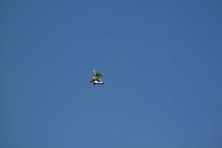 IMG_1217