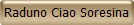 Raduno Ciao Soresina