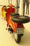 IMG_3038 (2)
