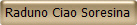 Raduno Ciao Soresina