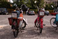 IMG_8950