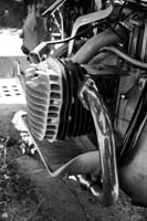 IMG_8575