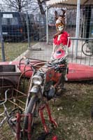 IMG_5583