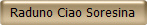 Raduno Ciao Soresina